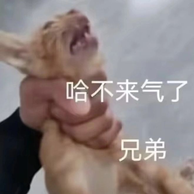 码影片的大罪人监狱都被民间礼物塞满了…mg不朽情缘游戏网站给日本人提供不打(图1) 码影片的大罪人监狱都被民间礼物塞满了…mg不朽情缘游戏网站给日本人提供不打(图1)